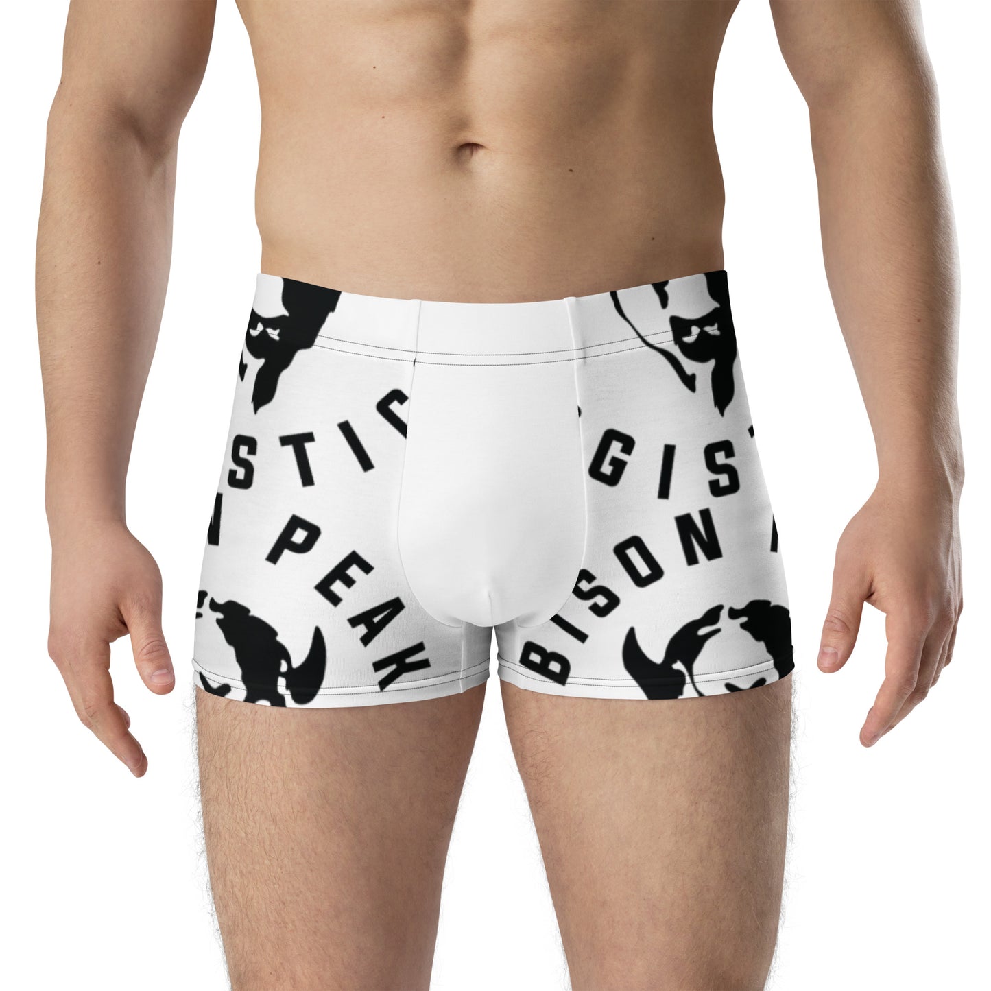 (120 BB) Boxer Briefs